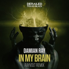 Damian Ray - In My Brain (Rayvolt Remix)