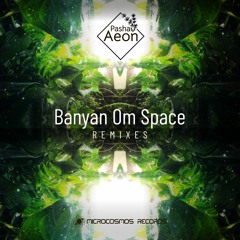 Pasha Aeon - Banyan Om Space (dj Shaman & M. Carlos Remix)