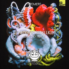 PREMIERE: Township Rebellion - Leave No Trace [Stil Vor Talent]
