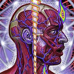 Shine On (Tool)