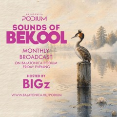 Sounds of Bekool Vol. 10 hosted by BiGz