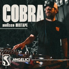 Cobra Mixtape Vol 1.
