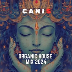 ORGANIC HOUSE DOWNTEMPO MIX 2024 | CHILL DOWNERS | INDIE VIBE | 100 BPM | CANIS MIXTAPE