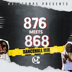 876 Meets 868 (Jamaican and Trinibad Dancehall Mix)