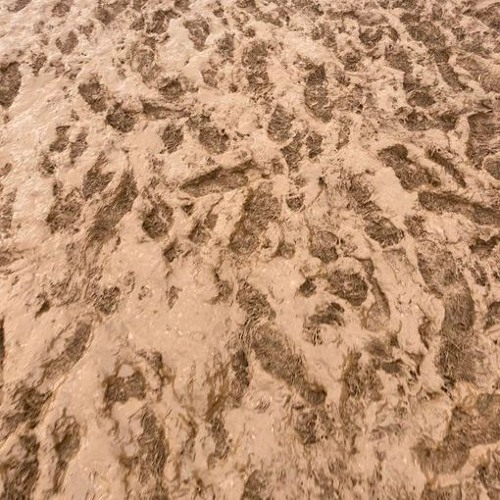 Nonsense V1 (Drums only/No Master)