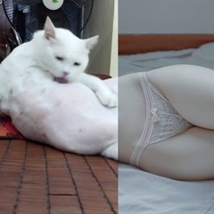 REMIX 2K25 2IN1 CÂU HỎI EM CHƯA TRẢ LỜI - 2IN1 HOANG TƯỞNG - 2IN1 BẠCH CÔNG KHANH