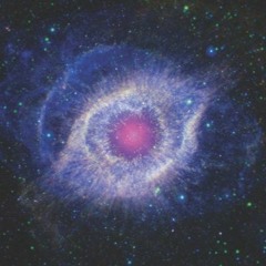 friendship [mousz x rytrii]