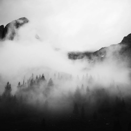Cileide Alves best background ​🔊 FREE DOWNLOAD​​