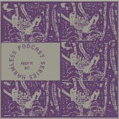 HRMLSS PODCAST SERIES 027 // ANDY PI