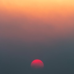 AP