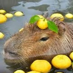 Capybara (House remix)