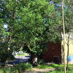 I never felt so close to you