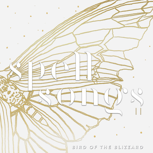 Bird of the Blizzard (feat. Julie Fowlis)