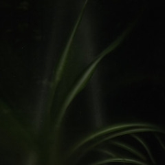 Sentimental Soundtrack, (Super8)