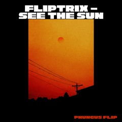 Fliptrix - See The Sun (Phungus Flip)