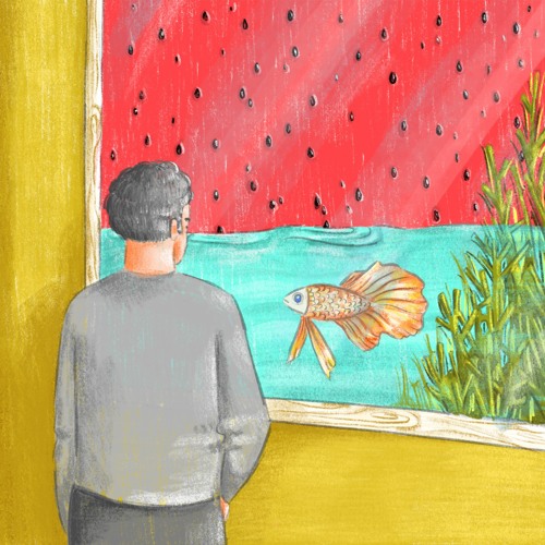 Counterclockwise Devil Aquarium