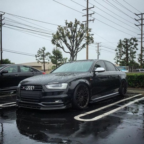 Kaley Sheshe – Addy Nagar