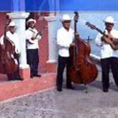 Raul Acevedo “El Cuñao”: El son jarocho de México y sus otras influencias