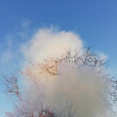 Frühlingsgefühle To Go (mixed by Faustina Fauna)