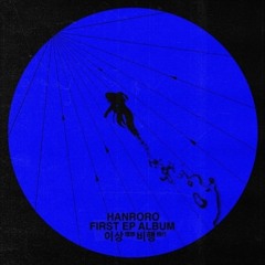 한로로-사랑하게 될거야