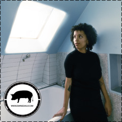 𝔾𝕦𝕖𝕤𝕥 𝕞𝕚𝕩𝕤 & 𝕡𝕠𝕕𝕔𝕒𝕤𝕥𝕤 𝕣𝕒𝕕𝕚𝕠