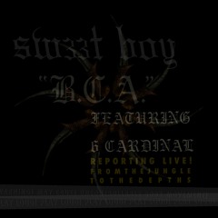 B.C.A. featuring 6 Cardinal