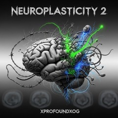 Neuroplasticity 2