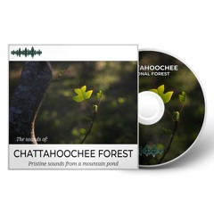The Sounds of Chattahoochee National Forest