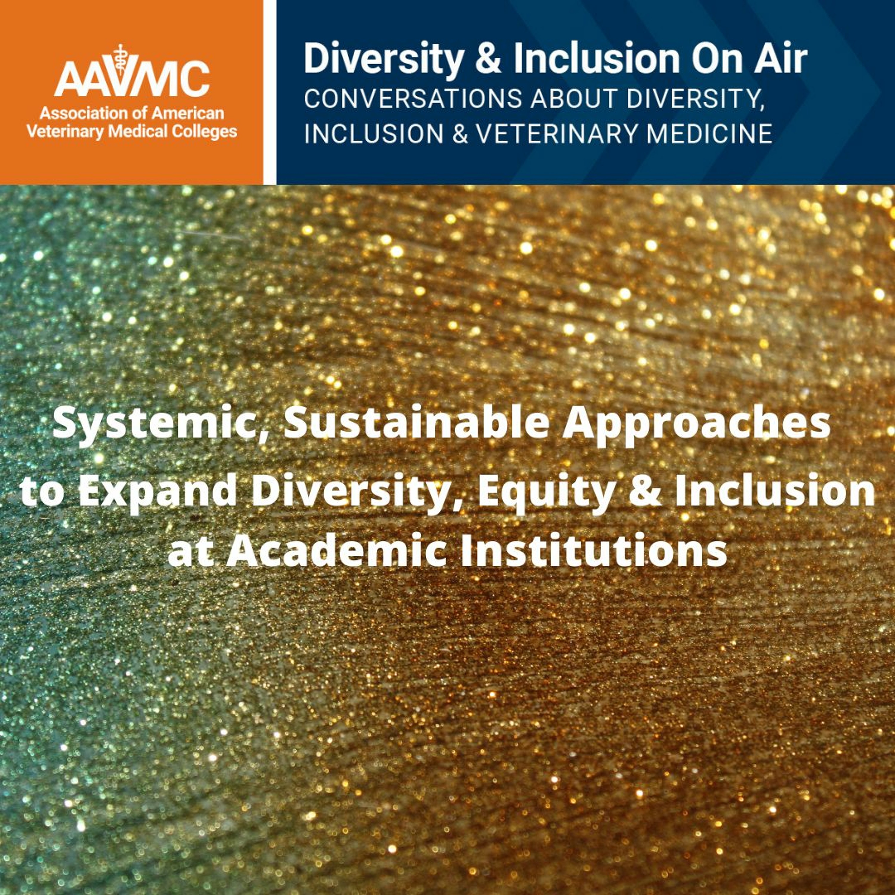 AAVMC\'s On Air: Conversations about Issues in Veterinary Medicine