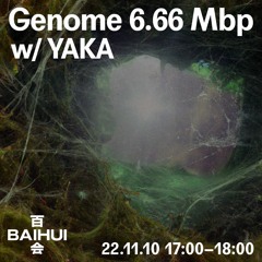 Genome 6.66 Mbp w/ Yaka on Baihui Radio
