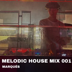 melodic house mix 001