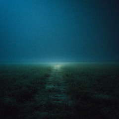 fading beetween realities