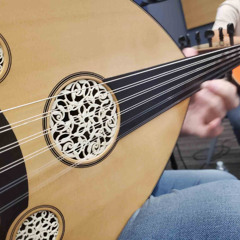 Viatorum - The Lost Horses of Autumn