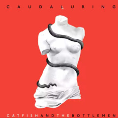 Catfish And The Bottlemen — Kathleen Alternative