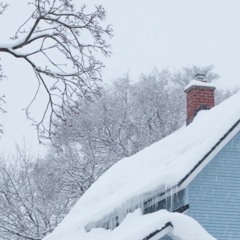 cold
