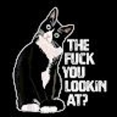 (Beat fades in, low drones, metallic hit