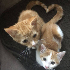 you don’t know what you did to me