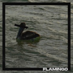 flamingo w/ joda