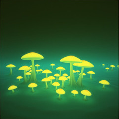 PRESSURE POINTS x MALICE