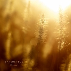 interstice