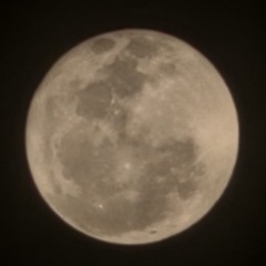 FULL MOON