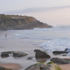 Landlord of Birds at Backyard Birds and Coffee