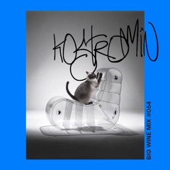 Kostromin - Big Wine Mix 064