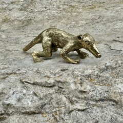 Punk Up 🫣.. oder so 🤣