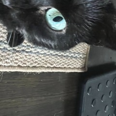 forgetting is always difficult but maybe we don't have to