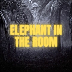 The Elephant in the Room