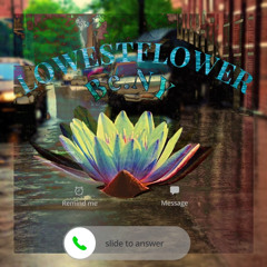 LOWESTFLOWER.