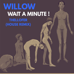 WILLOW - WAIT A MINUTE ! - THELLOFER HOUSE REMIX (EXTENDED MIX)