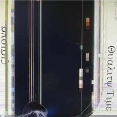 Visions 3