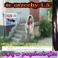 te orzechy 1.5 : vipy w psychiatryku (feat. mattgiovanni, bruh lord, plejner, prada)